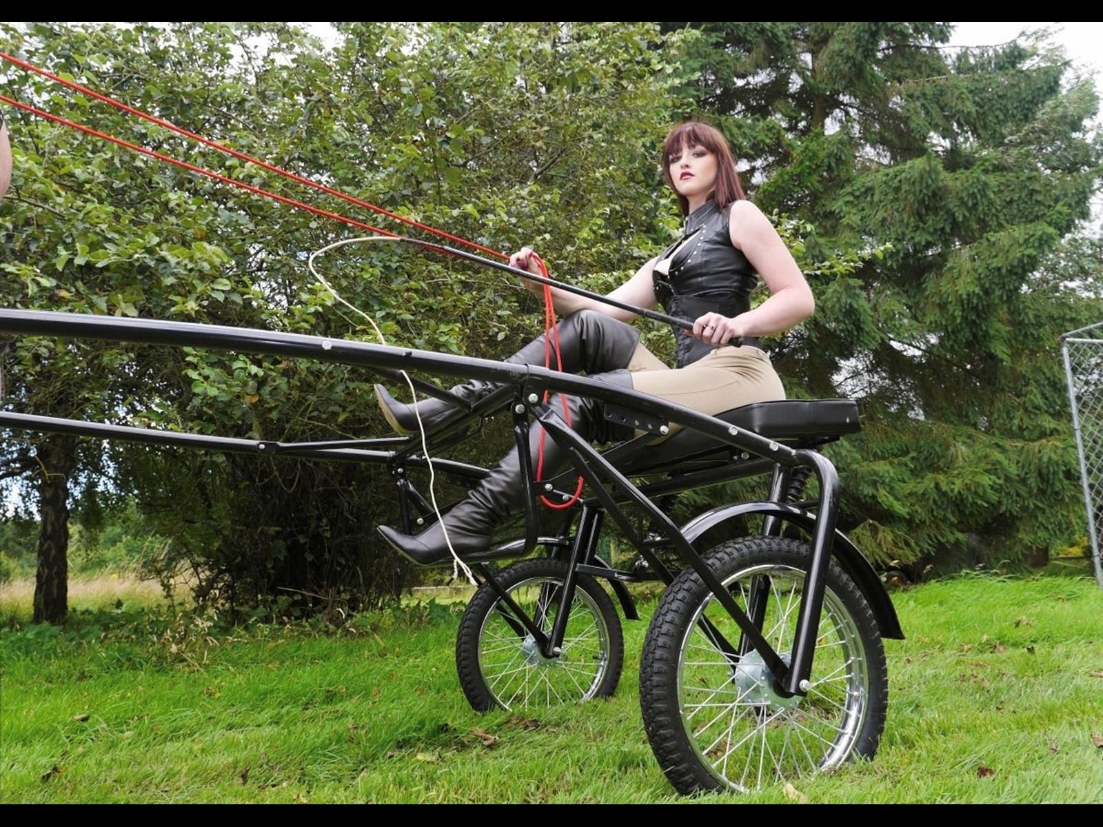 Pony Trap Pet Play Mistress Equestrian Leather Fetish