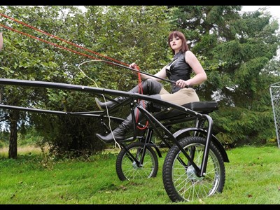 Pony Trap Pet Play Mistress Equestrian Leather Fetish